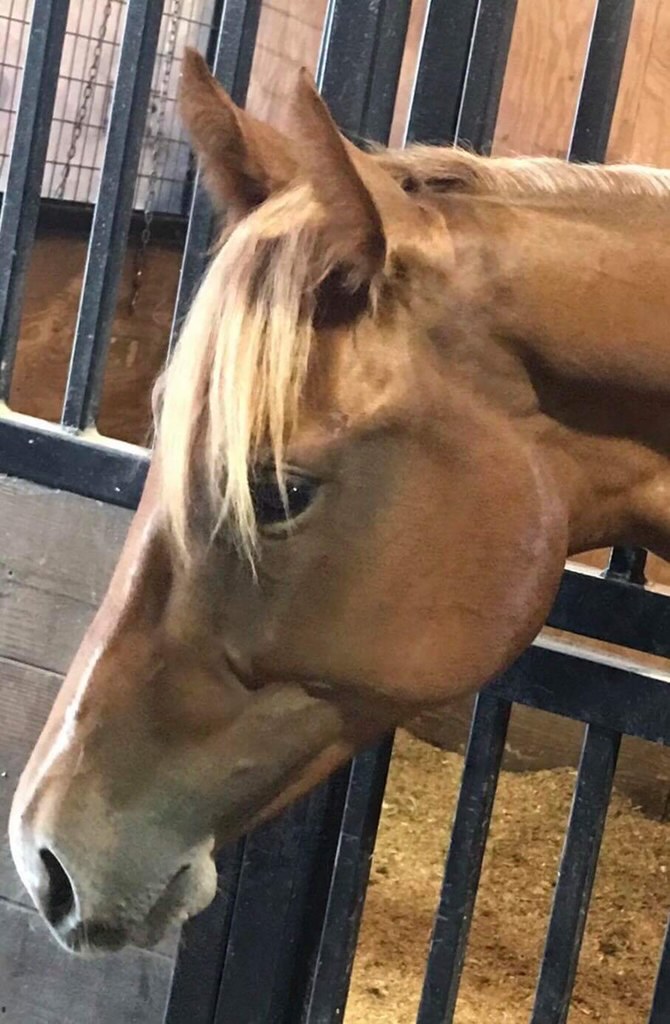 reba